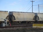 CEFX 80238